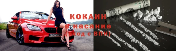 прущие крисы Каменка