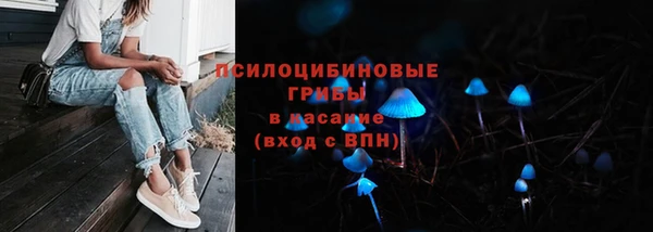прущие крисы Каменка