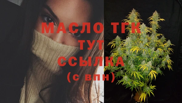 прущие крисы Каменка