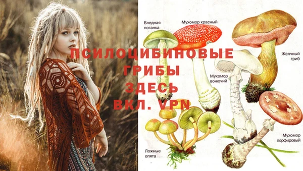 гашишное масло Каменногорск