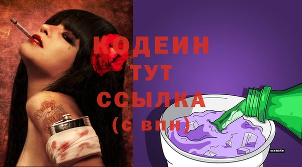 прущие крисы Каменка