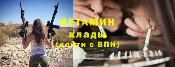 прущие крисы Каменка