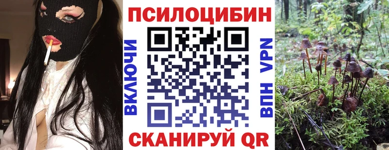 Галлюциногенные грибы мицелий Губкин