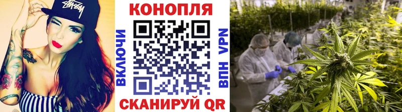Бошки Шишки конопля  Купить закладки  Губкин 